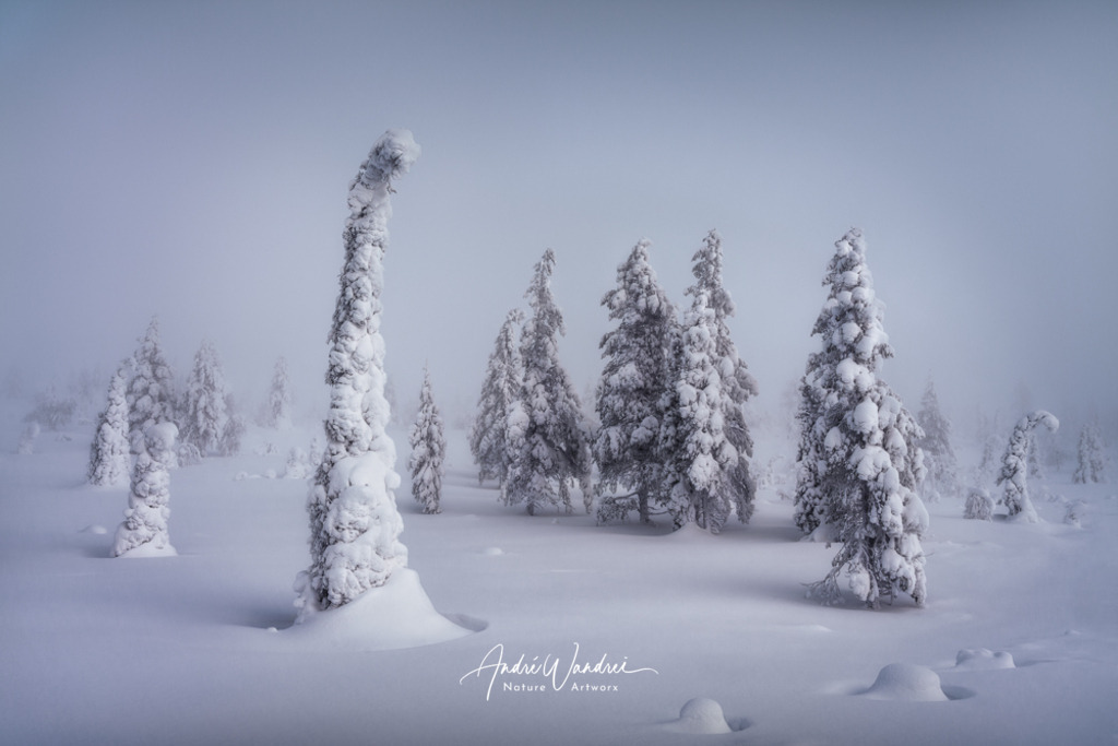 Im Griff des Winters | Andre Wandrei - Nature Artworx - Realisiert mit Pictrs.com