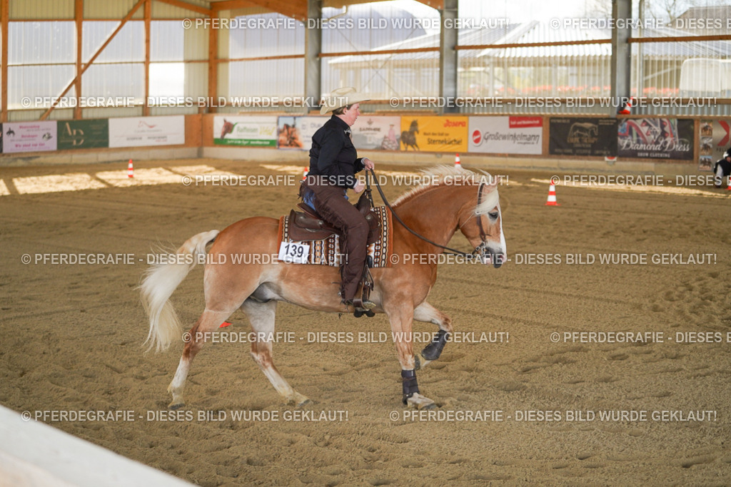 DSC00938 | Pferdegrafie