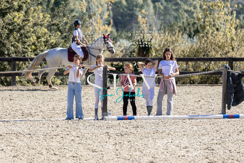 IMG_0730 | s-jay-photography - Realisiert mit Pictrs.com