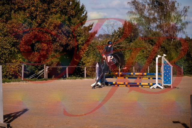2026_10_03_Siefer-Hof_171546_Z81_13318955 | Professionelle Reitsport-, Turnier- und Eventfotografie von Robert Broda. Galerien mit ausgewählten und bearbeiteten Bildern direkt online ansehen und bestellen.