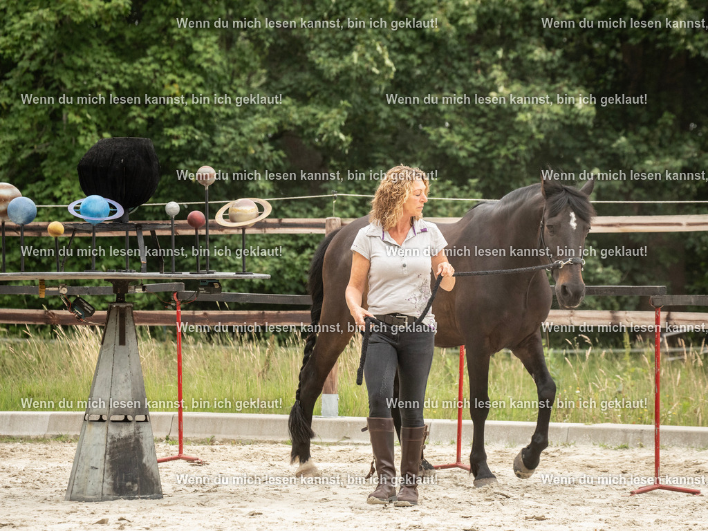 598A6572 | photographylinaismer - Realisiert mit Pictrs.com