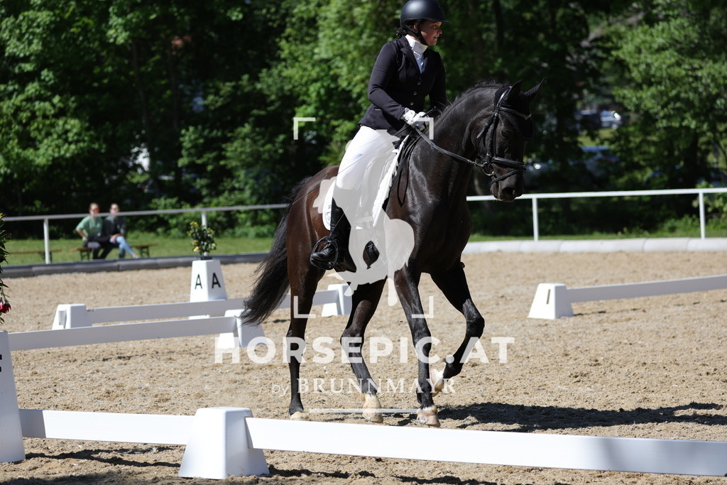 0P6A1562 | Willkommen bei Brunnmayr - Design & Fotografie – Ihrem Spezialisten für Reitturniere und Pferdeveranstaltungen in Oberösterreich, Salzburg und Bayern! Seit über 17 Jahren sind wir leidenschaftlich dabei.