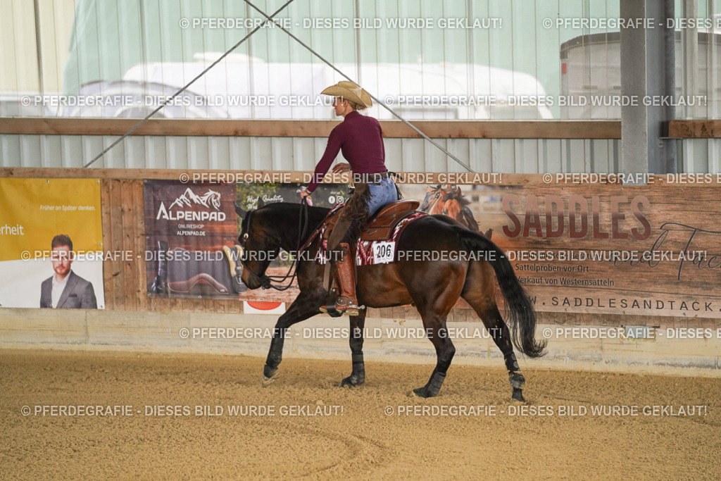 DSC03735 | Pferdegrafie