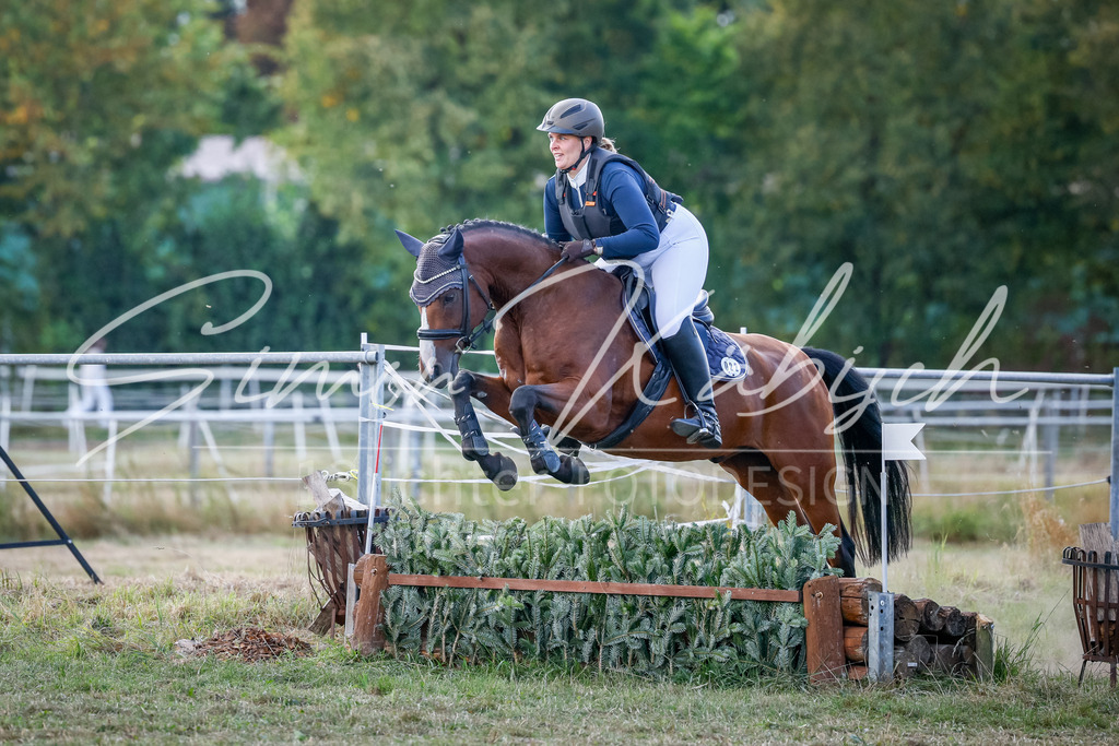 20250905-_3LI0349 | Tierfotografie Pferde, Hunde, Katzen, Haustiere.
Turnierfotografie Reitturniere, Reiten, Springreiten, Dressur in Hanau, dem Main-Kinzig-Kreis und dem Rhein-Main- Gebiet um Frankfurt