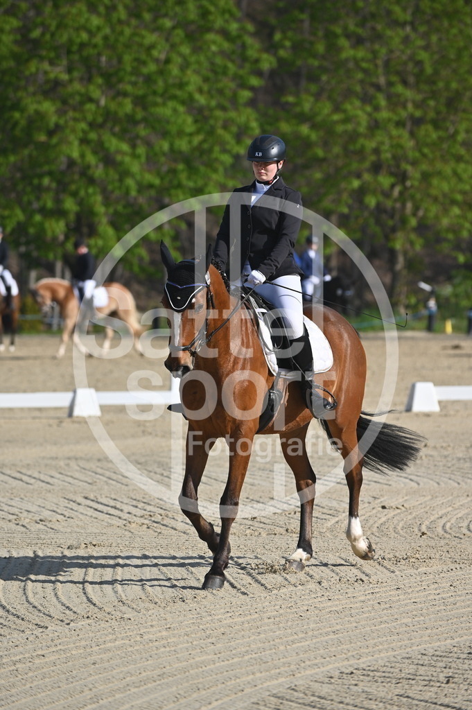 DSC_9955 | sattelsport - Realisiert mit Pictrs.com