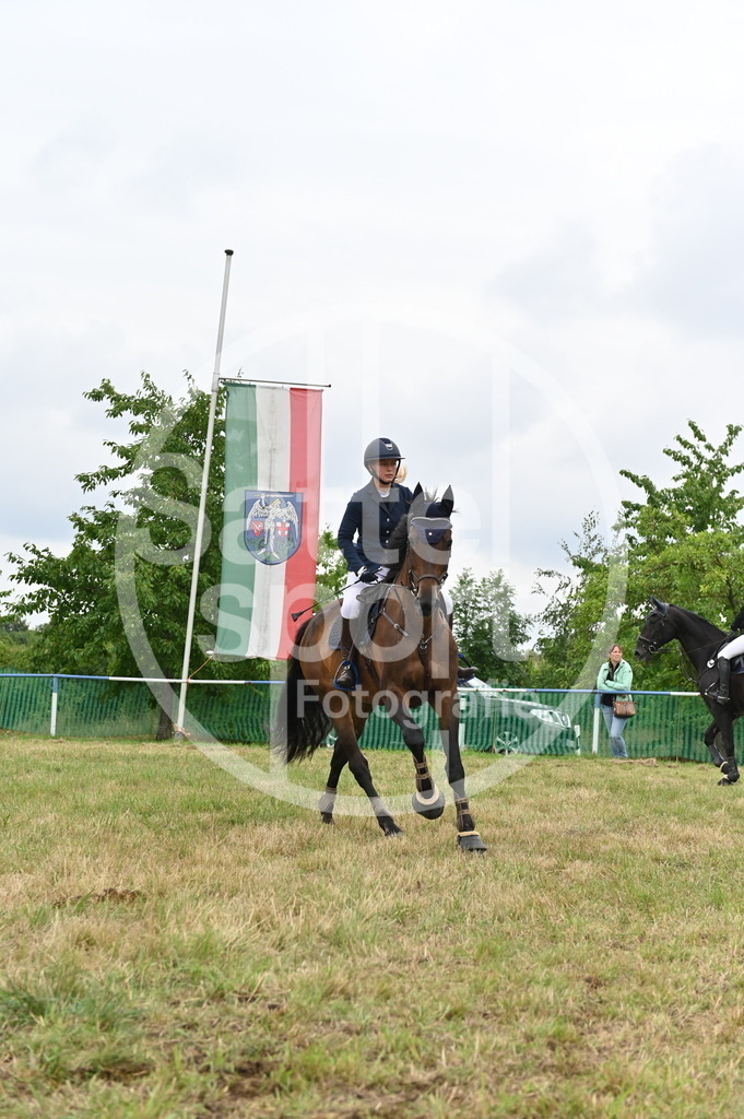 DSC_3249 | sattelsport - Realisiert mit Pictrs.com