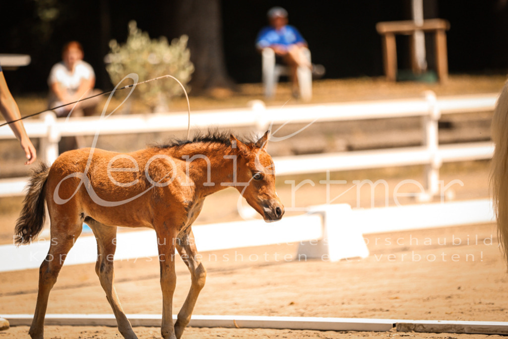 04.DoWP00048 | Leoni Ertmer Photography - Realisiert mit Pictrs.com