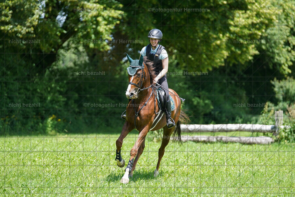 20240622-FAH07073 | Turnierfotografen Bayern, Reitsportbilder aus dem Geländekurs mit Felix Etzel auf dem Gut Waitzacker 2024