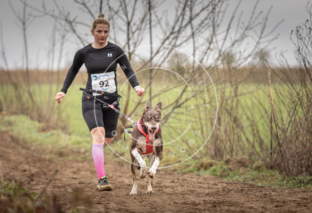 DV3A0017 | Hundefotografie, Tierfotograf, Pfotenfotografie, Fotoshooting Hund, Hunde Portrait, Hundesport, Hundeportraits, Heideshooting, Hunde, Sportfotograf, Hundefotograf, Turnierhundsport, THS,  - Realisiert mit Pictrs.com