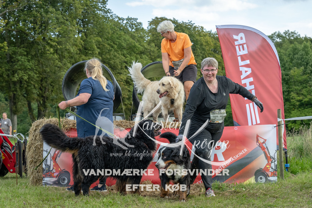 1100_ZZ93626 | kk-dogfotos