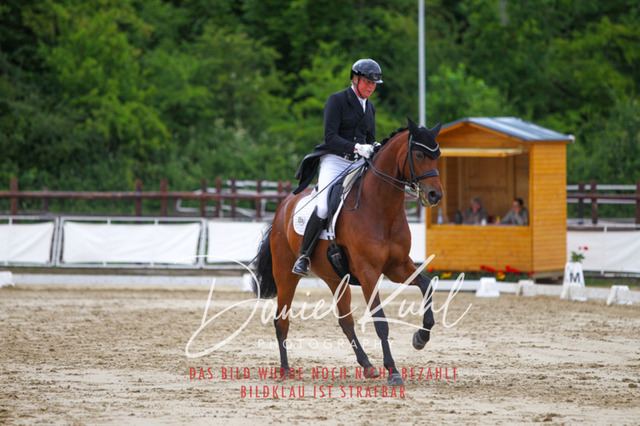 DKP48020 | Turnierfotos kaufen im Webshop von Daniel Kuhl Photography – entdecke professionelle Reitsportfotos aus Turnieren & Events. Hochwertige Turnierbilder online bestellen & sichern. Jetzt Fotos von Reitsportturnieren kaufen!