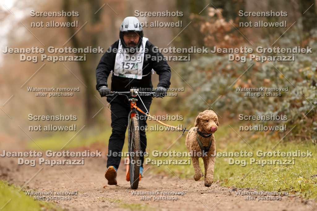 Dog Paparazzi - Speedhunter Mannheim  2025-430 | Dog Paparazzi Jeanette Grottendiek Fotografie & Videografie