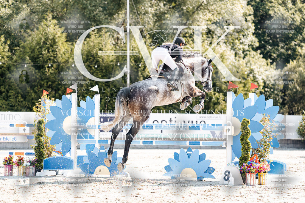 CK902276 | Turnierfotografie Pferdefotografie Trier Rheinland-Pfalz Pferdesport Reitsport Tierfotografie Sportfotografie Pferdevideo Pferdevideografie Equestrianvideography equestrianphotography  - Realisiert mit Pictrs.com