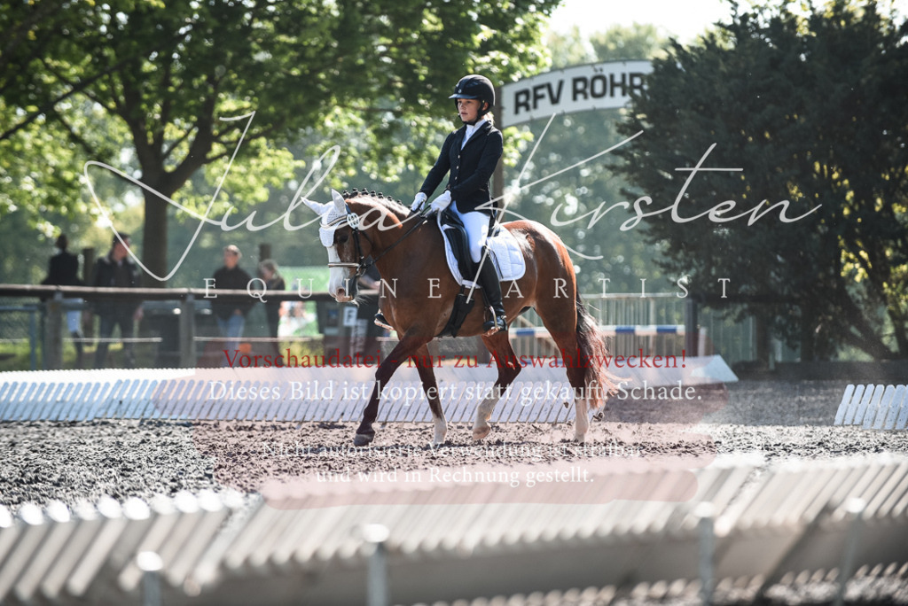 DSC_8693 | Pferde- und Turnierfotografie in Westsachsen. Pferdeportraits, Auftragszeichnungen und intuitive Kunst.