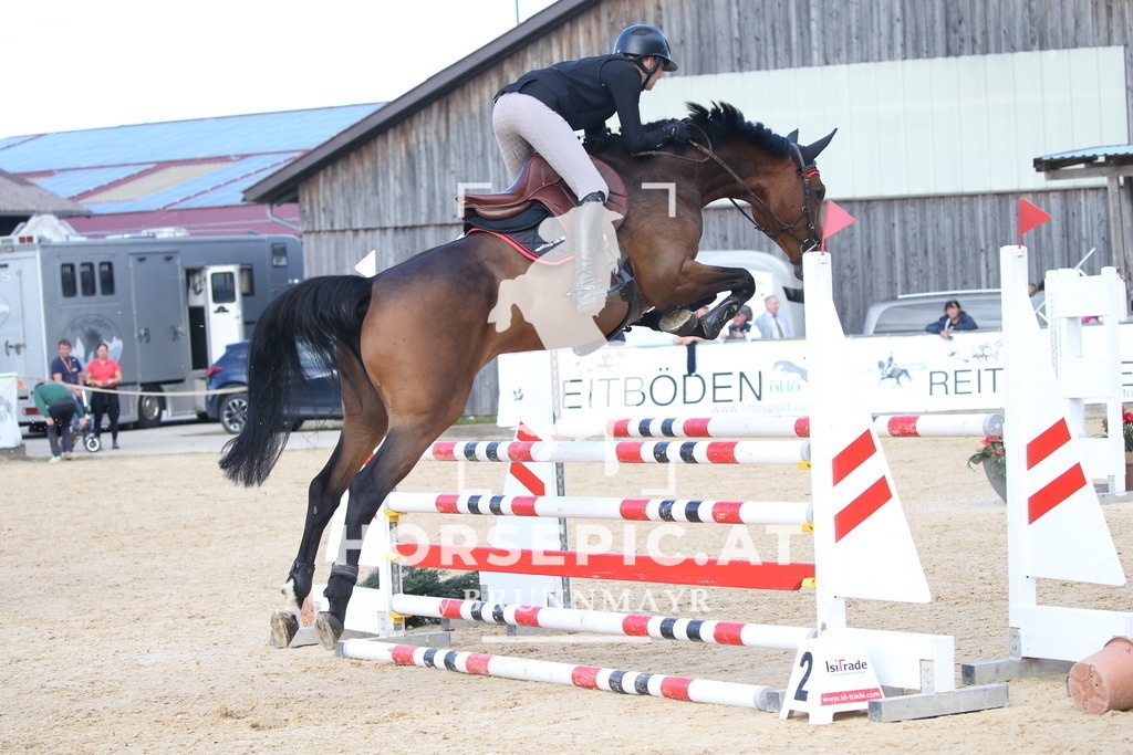 DL2Q3514 | Willkommen bei Brunnmayr - Design & Fotografie – Ihrem Spezialisten für Reitturniere und Pferdeveranstaltungen in Oberösterreich, Salzburg und Bayern! Seit über 17 Jahren sind wir leidenschaftlich dabei.