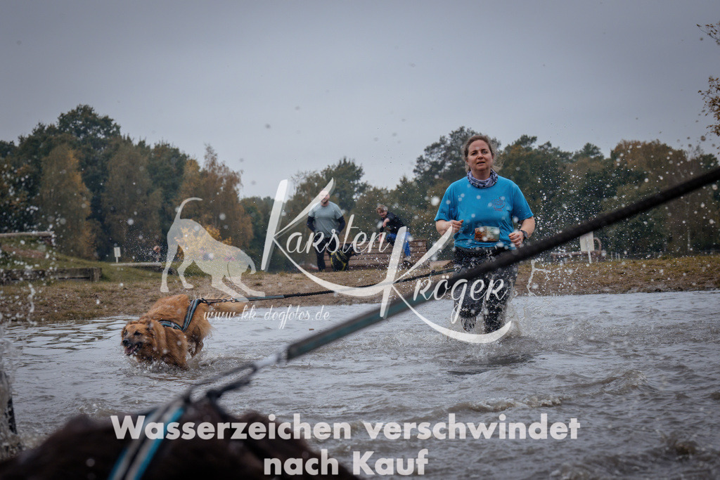 1209_ZZ98434 | kk-dogfotos