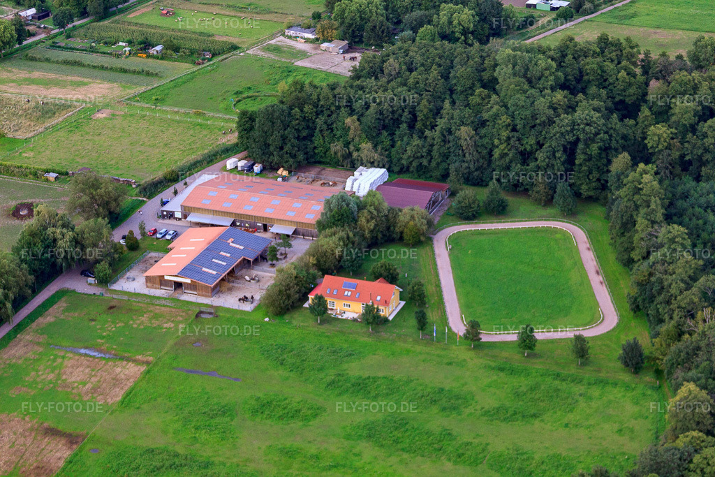 Luftbild: Islandpferde-Gestüt Bienwald in Freckenfeld im Bundesland Rheinland-Pfalz in Deutschland. Foto: IMG_44238.jpg vom 17.08.2011 durch Werner Riehm/FLY-FOTO.deIslandpferde-Gestüt Bienwald
