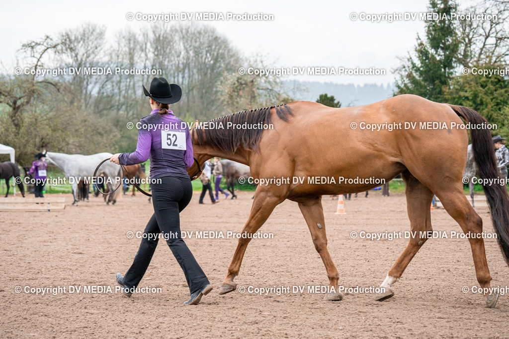 BA300049 | dv-media-shop - Realisiert mit Pictrs.com