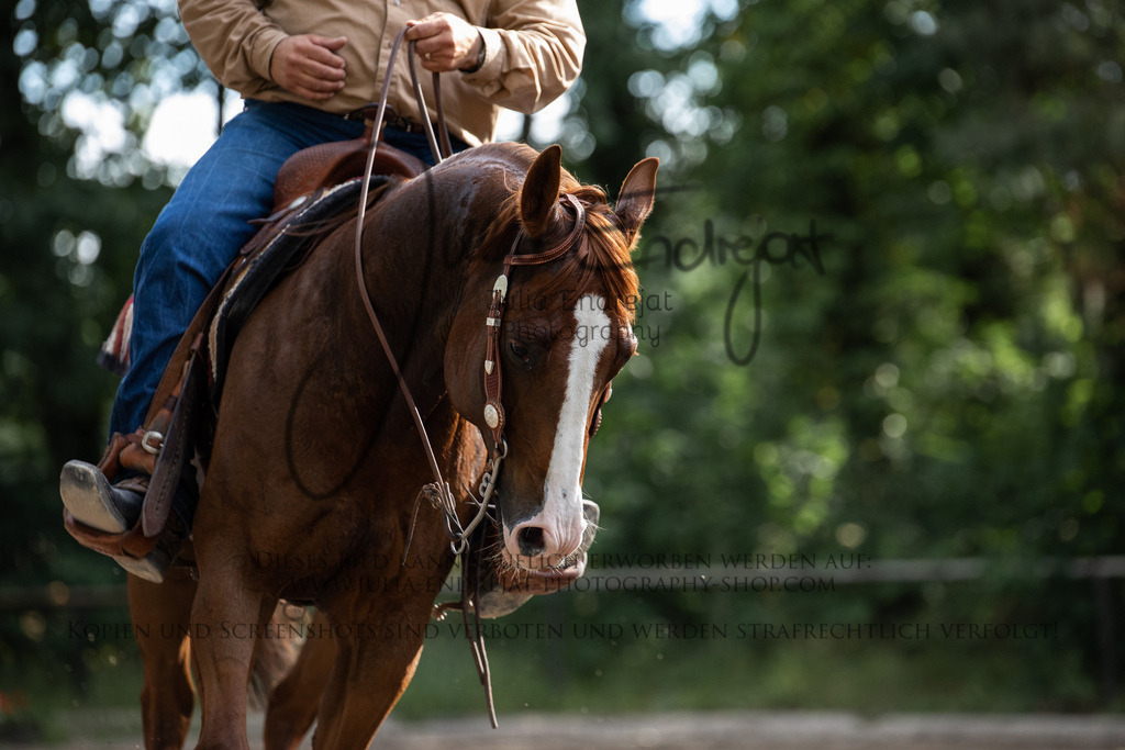 20220625-JuliaEndrejatPhotography-1680 | Julia Endrejat Photography