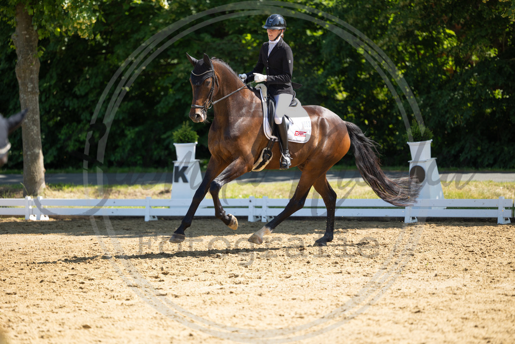 994A2966 | sabrinanicolaifotografie - Realisiert mit Pictrs.com