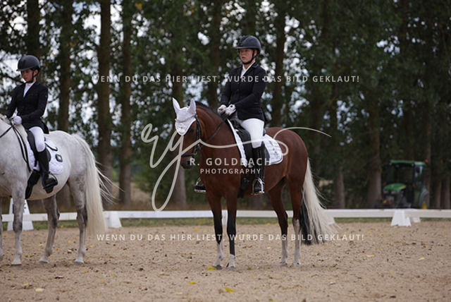 1J2A0810Charlotte Fehr_ Ikon 16_ Kn061_ Wöpkendorf_ Annalena Beier_ Quinn M_ Kn095 | Foto- und Videografie für alles rund ums Pferd. Hochwertige Bilder und Videos vom Spring- und Dressurreiten, Voltigieren & mehr. Jetzt aktuelle Veranstaltungen und Preise im Shop ansehen. - Realisiert mit Pictrs.com