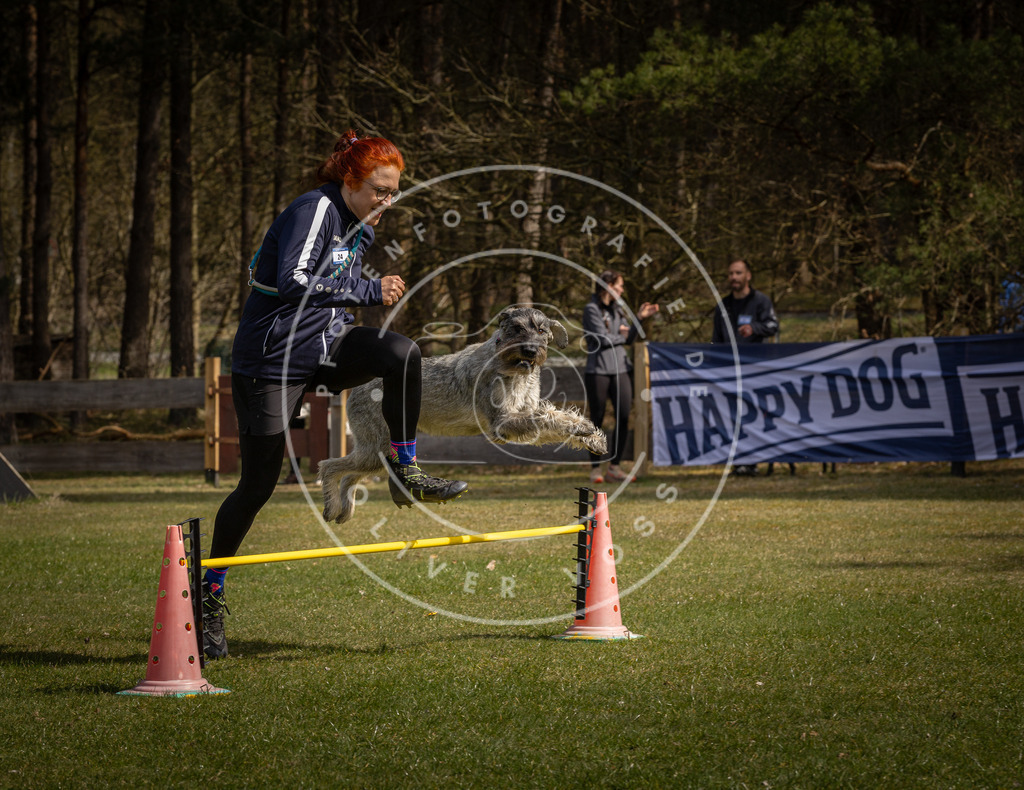 Pfotenfotografie_DV3A3689 | Hundefotografie, Tierfotograf, Pfotenfotografie, Fotoshooting Hund, Hunde Portrait, Hundesport, Hundeportraits, Heideshooting, Hunde, Sportfotograf, Hundefotograf, Turnierhundsport, THS,  - Realisiert mit Pictrs.com