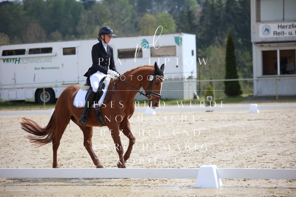 IMGT2551 | pl-fotografie