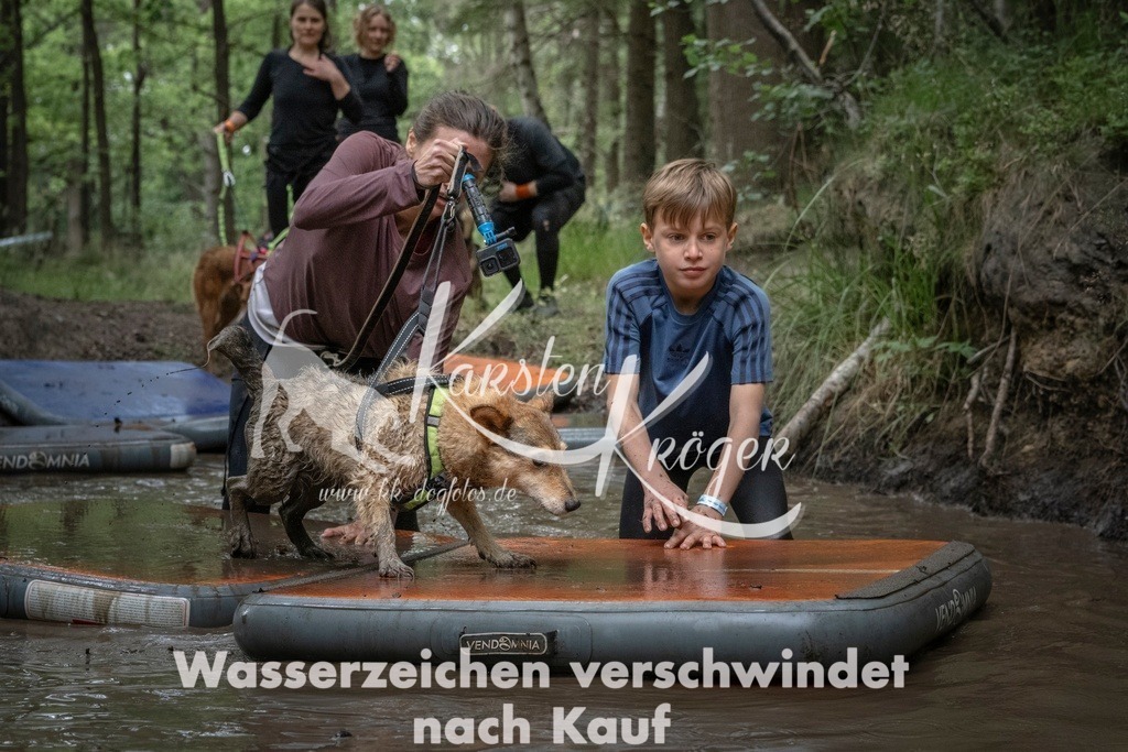 1220_ZZ98535T | kk-dogfotos