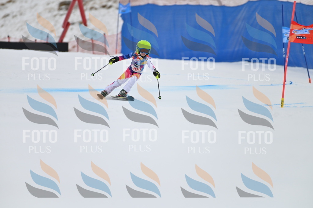 BGV_2324 | holidayphoto