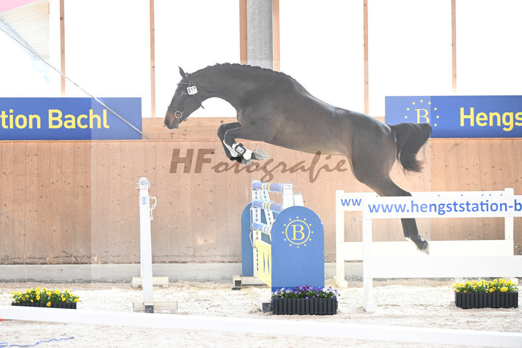 Kat-Nr. 13 Courchevel B v. Cizero Z_Bachl_5250173 | hf-fotografie - Realisiert mit Pictrs.com