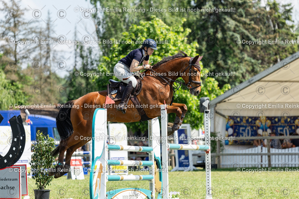 CL5A4189 | Emilia Reinking Fotografie - Realisiert mit Pictrs.com