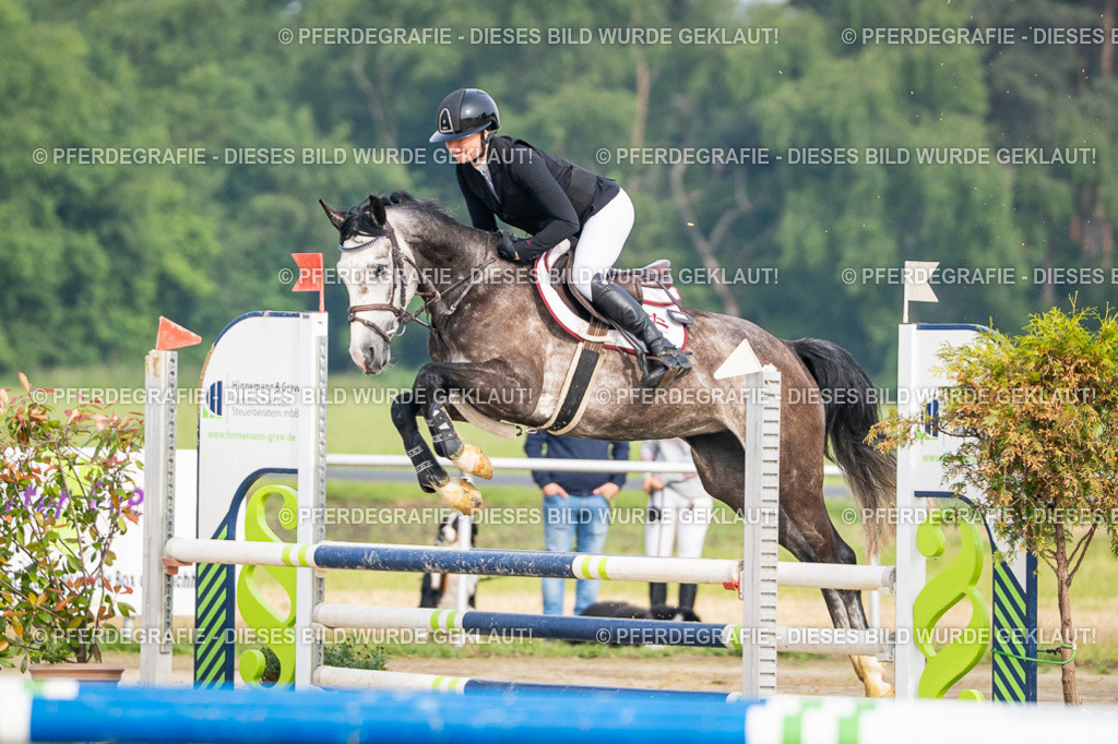 DSC08980 | Pferdegrafie