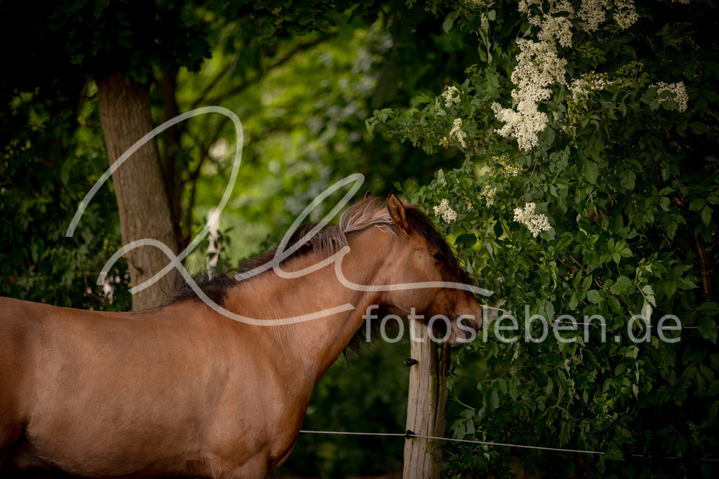 846A0445 | fotosleben - Realisiert mit Pictrs.com