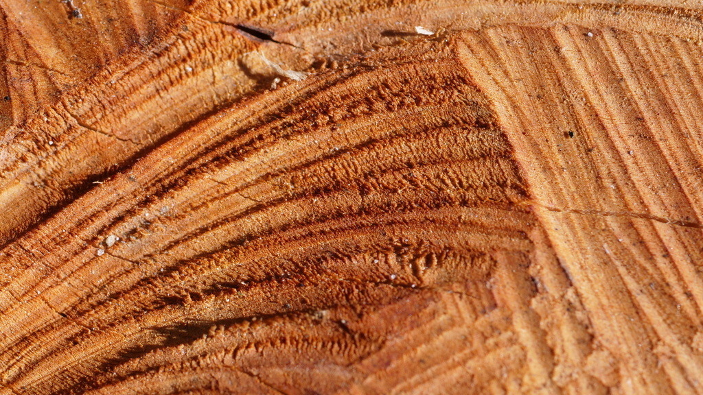 P1077032 | klausulrichmoeller