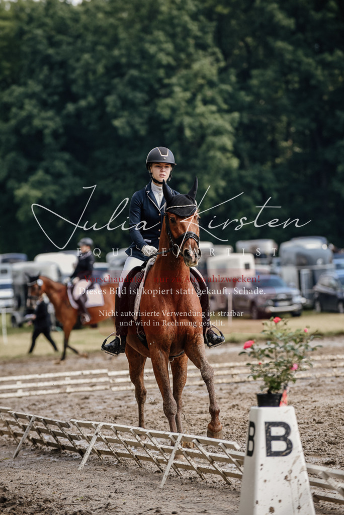 DSC_8958 | Pferde- und Turnierfotografie in Westsachsen. Pferdeportraits, Auftragszeichnungen und intuitive Kunst.