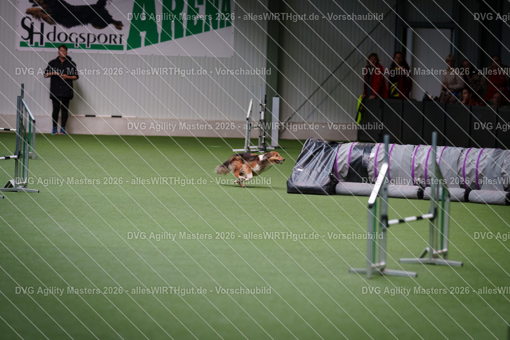 allesWIRTHgut_Tierfotografie-DVG_Agility_Masters_2026-11_09-7R504962 | Professionelle Tierfotografie in Mönchengladbach von Daniel Wirth (allesWIRTHgut). Liebevolle & natürliche Bilder von Hunden & Katzen für unvergessliche Erinnerungen.