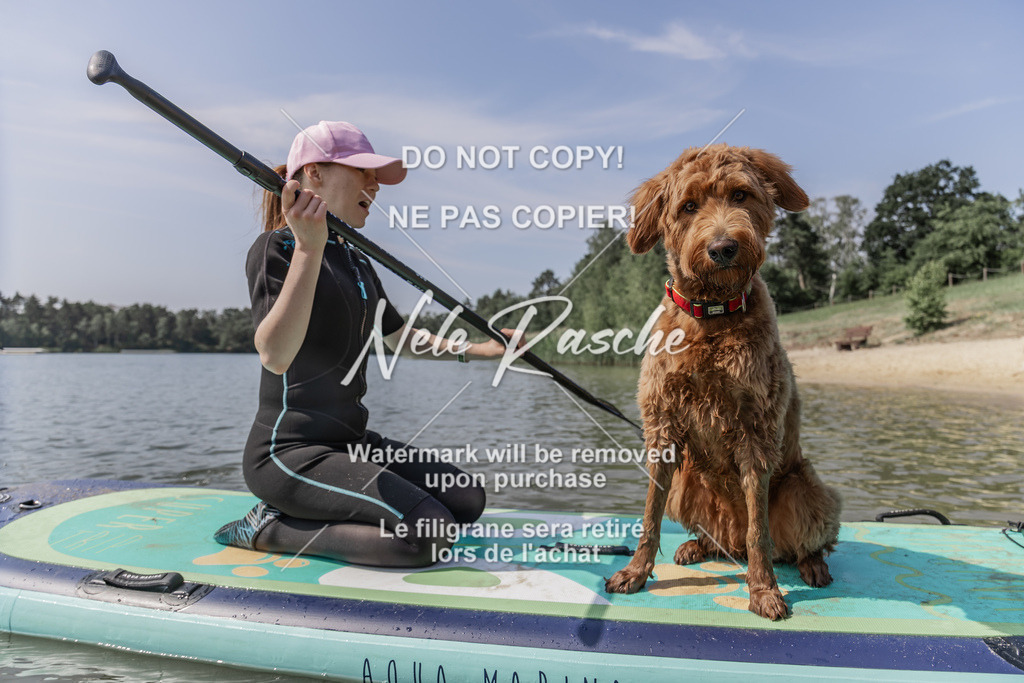 BUHU_SUP_533 | nelerasche