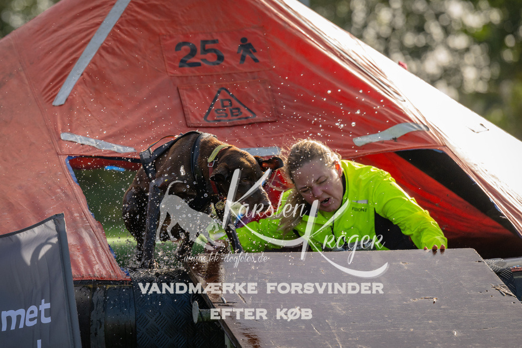 1116-91979 | kk-dogfotos