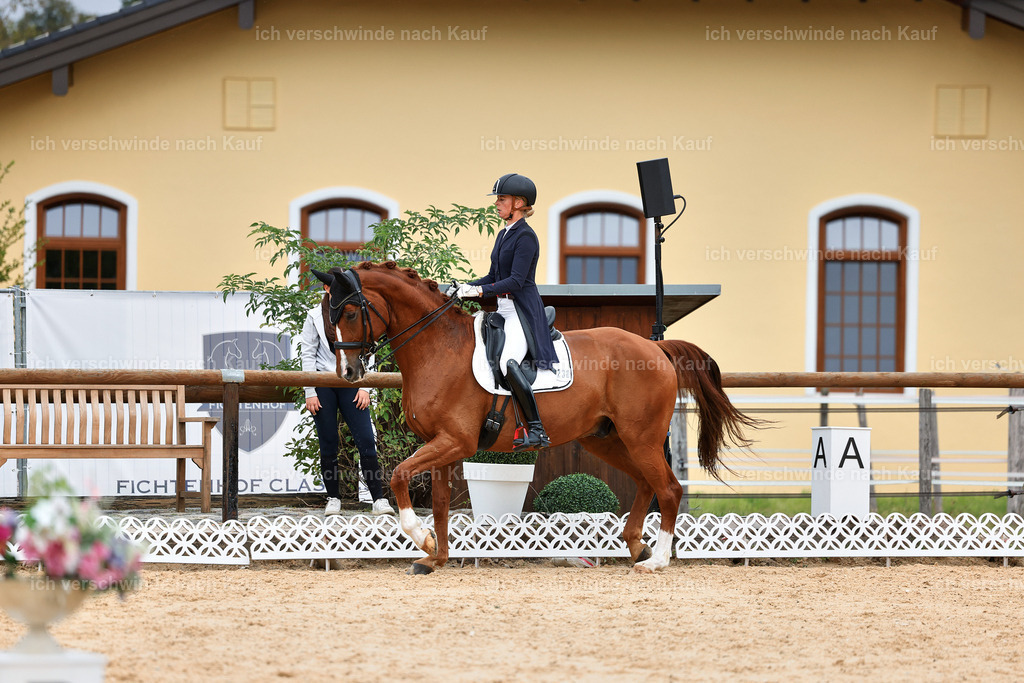 11-238-Dressur S___-StoibPH-976 | working equitationturnier fotograf videograf stoibphotography marixx film working equitation deutschland reitsport turnierfotografie eventfotografie equestrian events