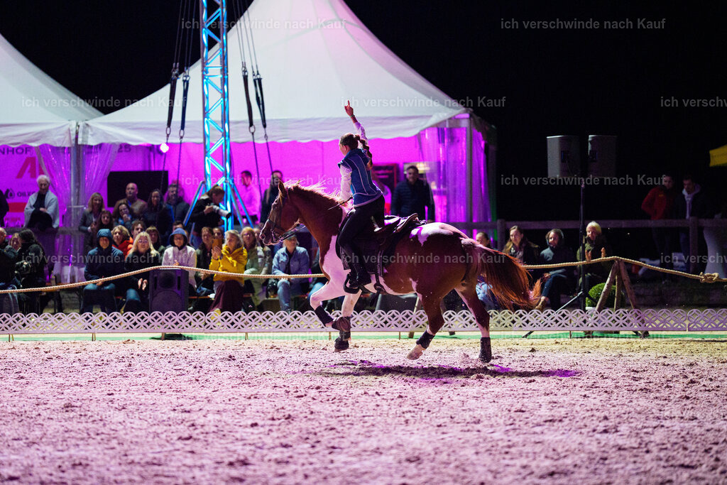 Gala-600 | working equitationturnier fotograf videograf stoibphotography marixx film working equitation deutschland reitsport turnierfotografie eventfotografie equestrian events