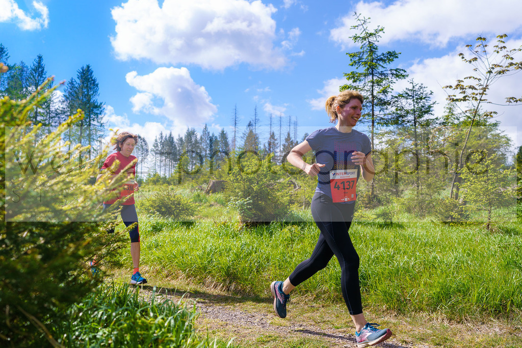Rennsteiglauf Marathon 2025 | Marathon von Neuhaus/Rwg. nach Schmiedefeld/Rstg. am 17. Mai 2025