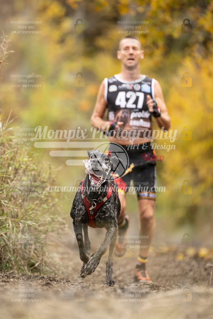 MompixPhotography_ICF_WC_2024_SA_Run_-418 | PayLife
