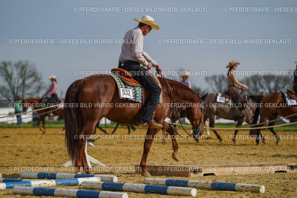 DSC01501 | Pferdegrafie