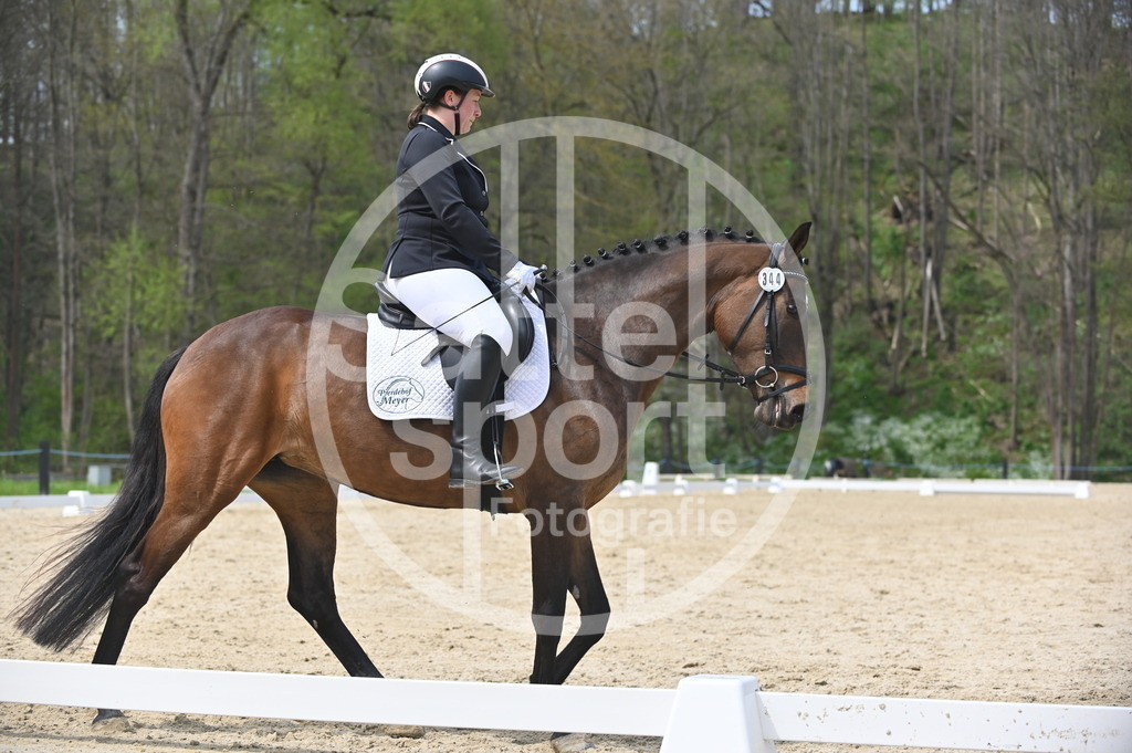 DSC_3277 | sattelsport - Realisiert mit Pictrs.com