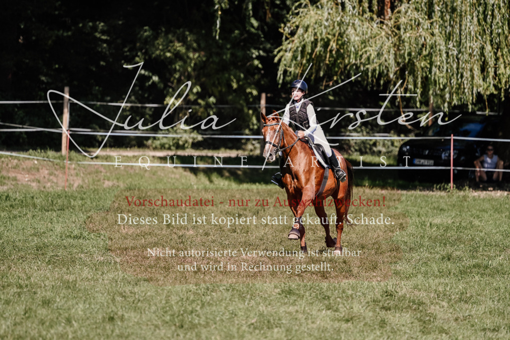 DSC_2678 | Pferde- und Turnierfotografie in Westsachsen. Pferdeportraits, Auftragszeichnungen und intuitive Kunst.