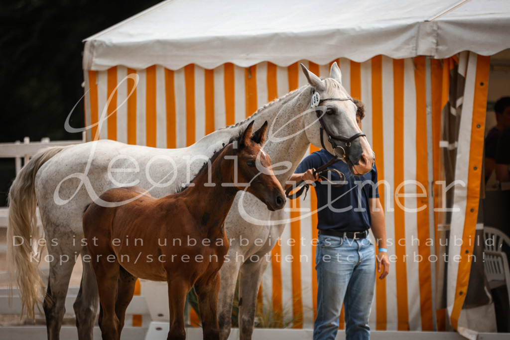 07.DoWBS00080 | Leoni Ertmer Photography - Realisiert mit Pictrs.com