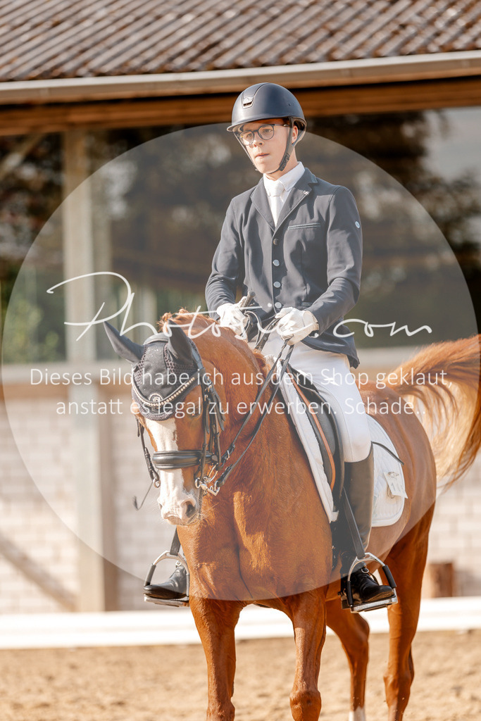 3I6A2964 | Stimmungsvolle Portraits und Reitsportfotografie im Ruhrgebiet und im Münsterland.

Pferdefotografie, Hundefotografie, Tierfotografie, Reportagen, Portraits von Tier und Mensch, Turnierfotografie in Bochum, Recklinghausen, Marl, Haltern am See, Dülmen.. - Realisiert mit Pictrs.com