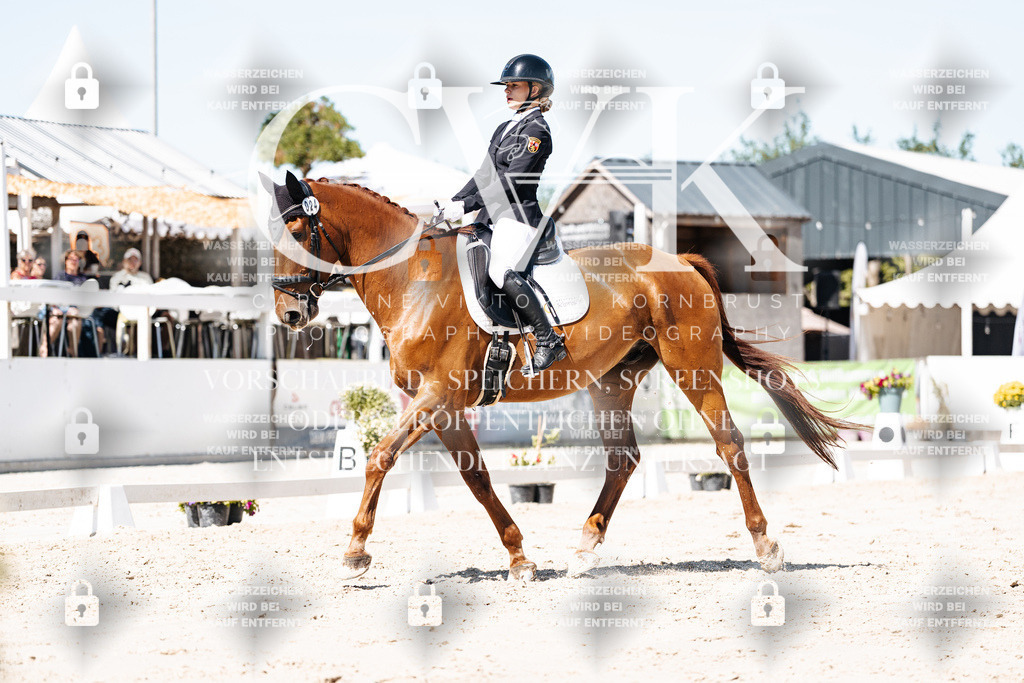 CK909479 | Turnierfotografie Pferdefotografie Trier Rheinland-Pfalz Pferdesport Reitsport Tierfotografie Sportfotografie Pferdevideo Pferdevideografie Equestrianvideography equestrianphotography  - Realisiert mit Pictrs.com