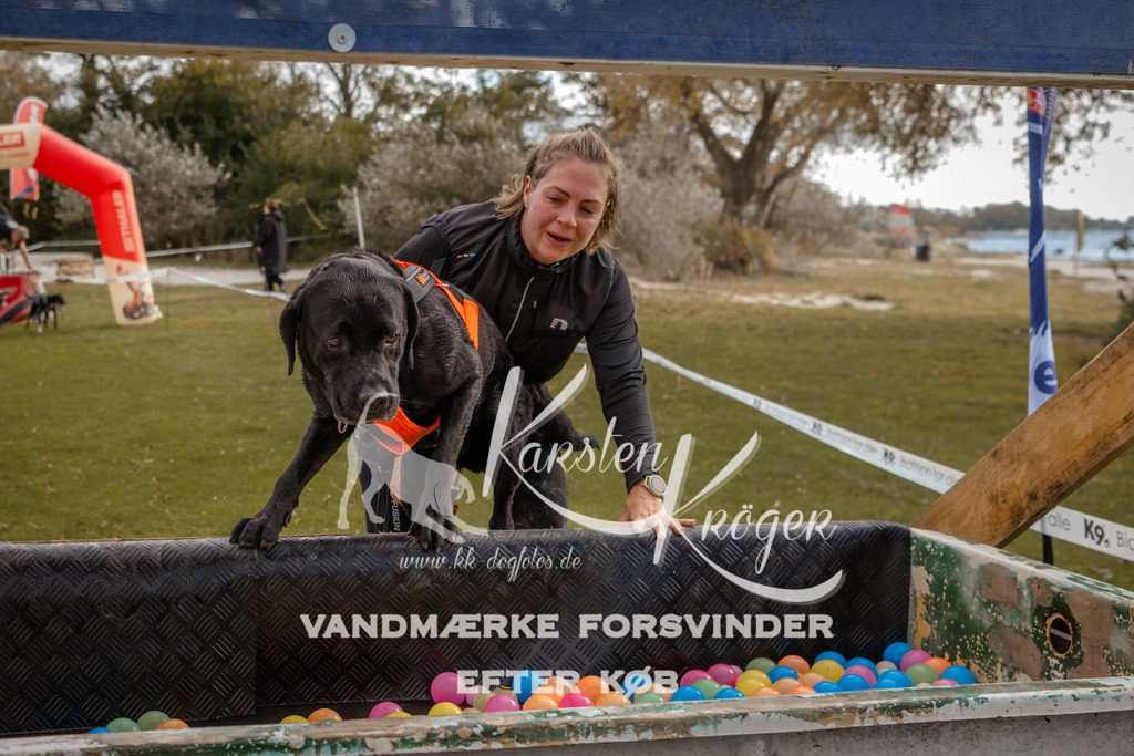 1337_ZZ91632-2 | kk-dogfotos