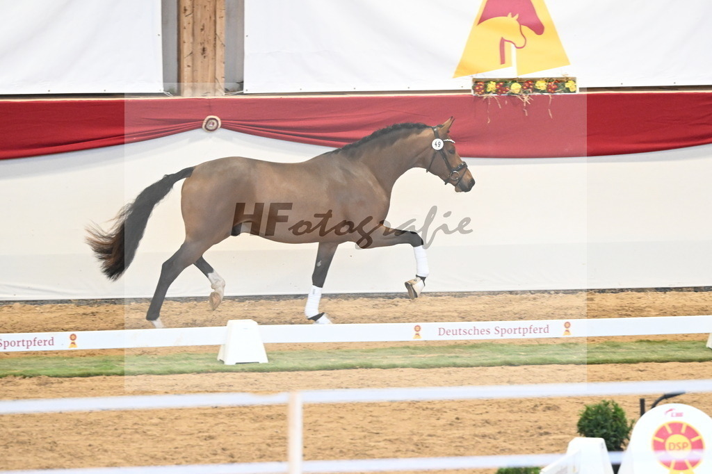 Kat.-Nr. 49 v. Fabletic_Bernadotte_ Voigtländer und Dimer_3260471 | hf-fotografie - Realizzato con Pictrs.com